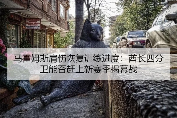 马霍姆斯肩伤恢复训练进度：酋长四分卫能否赶上新赛季揭幕战