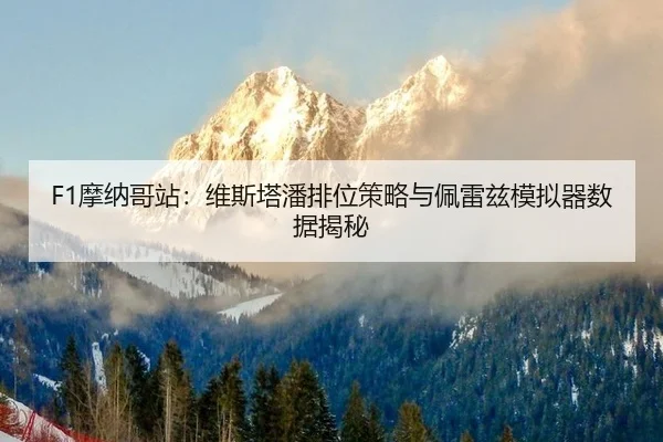 mo-na-ge-zhan-wei-si-ta-pan-pai-wei-ce-lve-yu-pei-lei-zi-mo-ni-qi-shu-ju-jie-mi-2-176.jpg