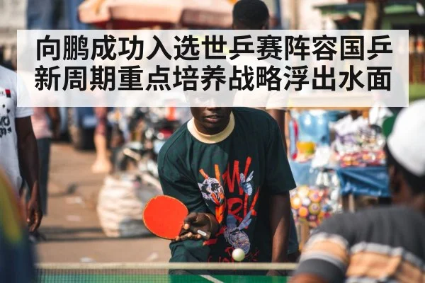 向鹏成功入选世乒赛阵容国乒新周期重点培养战略浮出水面