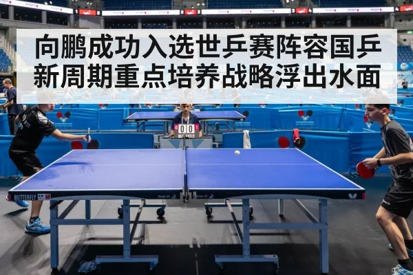 table tennis competition