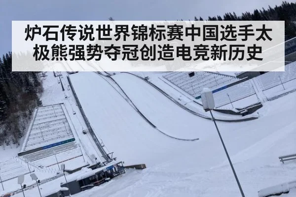 炉石传说世界锦标赛中国选手太极熊强势夺冠创造电竞新历史