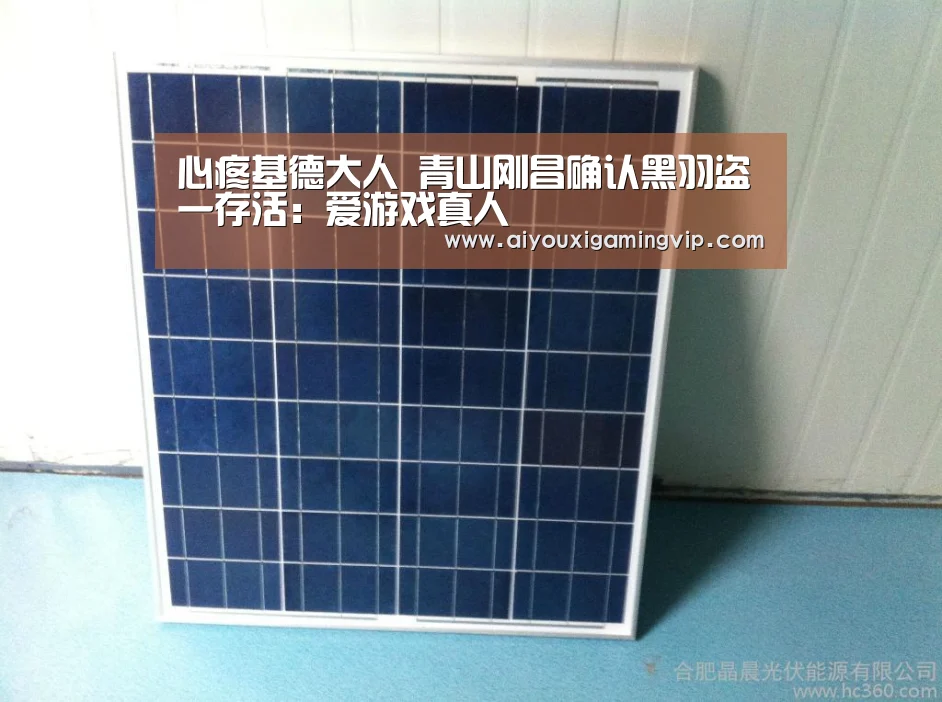 心疼基德大人 青山刚昌确认黑羽盗一存活：爱游戏真人