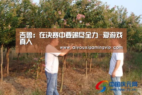 爱游戏娱乐